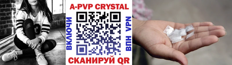 A-PVP СК  Каргополь 
