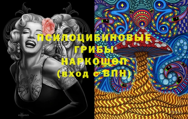индика Алзамай
