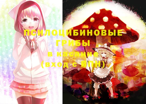 Альфа ПВП Абаза