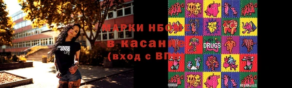 индика Алзамай