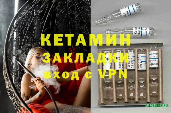 индика Алзамай