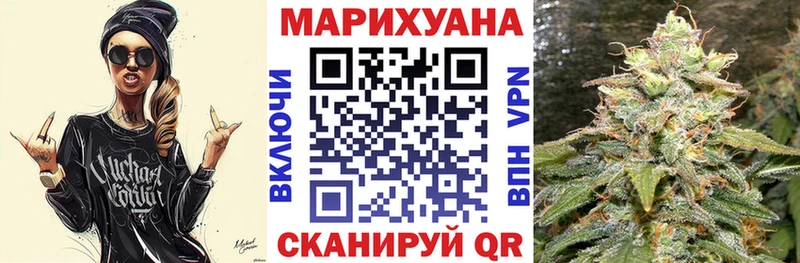 Конопля план  Каргополь 